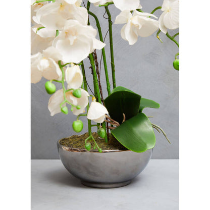 Fiori Orchid Display