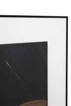 Eden Black And Brown Wall Art