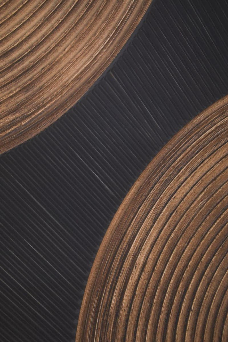 Eden Black And Brown Wall Art